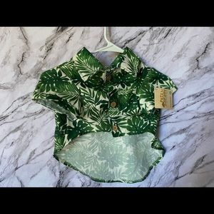 puppy summer shirt / L